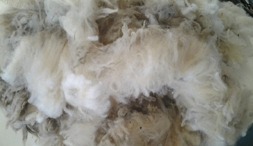 Kurow Wools Ltd 